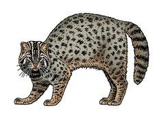 a drawing of a cat with black spots on it's face and tail, walking