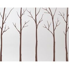 four trees with no leaves on them against a white background, in the foreground is an empty wall