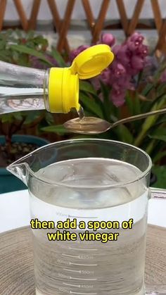 a spoon is pouring water into a glass cup with white vinegar in it and the caption reads, then add a spoon of white vinegar