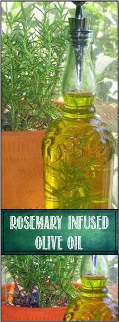 rosemary infused olive oil in a glass bottle