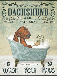 a dog is taking a bath in a tub with soap on it's side