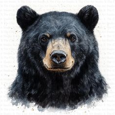 a painting of a black bear's head with brown eyes and fur on white background