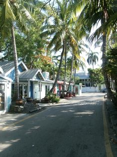 the street is lined with small houses and palm trees in front of them on both sides