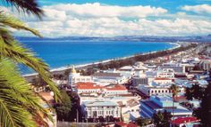 the city is next to the ocean and has many palm trees in front of it