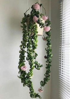 a plant hanging from the side of a window sill with pink flowers on it