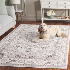 a dog laying on top of a rug in a living room