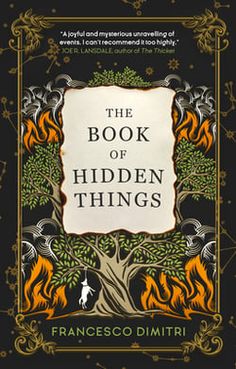 the book of hidden things by francisco dimitti, with an orange and black background