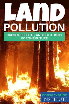 the cover of land pollution cause, effects and solutions for the future