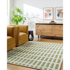 a green and white rug in a living room