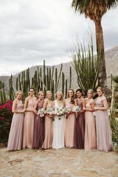 a group of women standing next to each other in front of some cactus trees and flowers