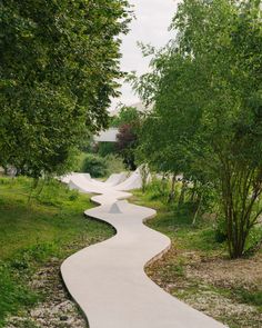 a long white path in the middle of some trees