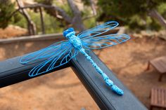 a blue dragonfly sitting on top of a black bench