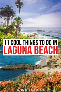 Photo of the beach with palm trees on top. Text reads "11 cool things to do in laguna beach" in the middle. Bottom photo is of orange wildflowers with turquoise Pacific Ocean in the background. California Cities, Orange County Beaches, Crystal Cove State Park, California Travel Guide, Coastal City, Laguna Beach California, Newport Beach California, California Vacation, Long Beach California