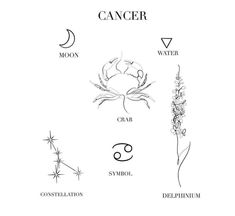 zodiac signs and their meanings are shown in this black and white illustration, with the symbols above them