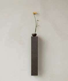 there is a vase with a flower in it on the wall next to a white wall