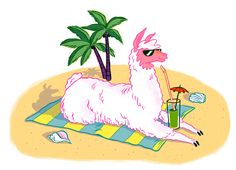 a white llama laying on a towel next to a palm tree and a drink