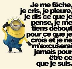 a despicable minion with words written in french