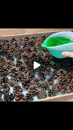 someone is pouring green liquid into a tray full of pineconuts that are on the table