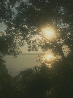 the sun is shining through some trees by the water