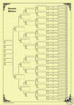 a family tree is shown on a yellow paper with the names and numbers below it