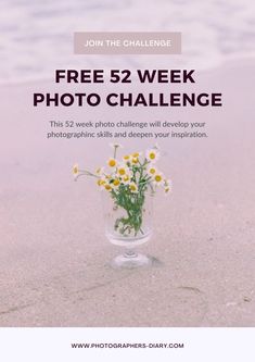 a vase filled with flowers sitting on top of a sandy beach