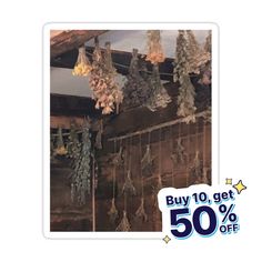 an advertisement for the sale of hanging plants