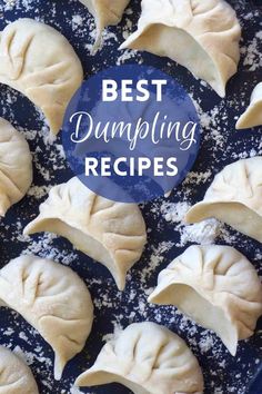 dumplings with text overlay that reads best dumpling recipes