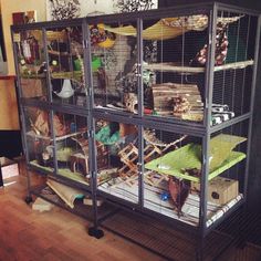 a cage filled with lots of birds inside of a room next to a wooden floor