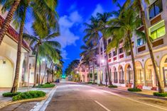 palm trees line an empty street at night