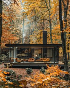 a house in the woods surrounded by trees with yellow leaves on it's ground