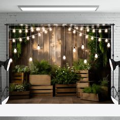 an indoor photo studio with plants and lights