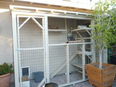 a cat is sitting in the corner of a room with a cage on it's roof