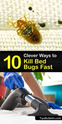 a bed bug that is laying on top of a mattress with the words 10 clever ways to kill bed bugs fast