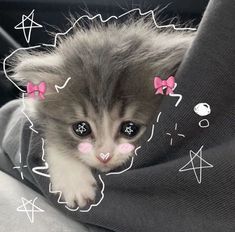 a small kitten with pink bows on its head is peeking out from behind a blanket