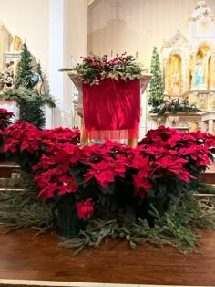 poinsettia plants on the pews in a church