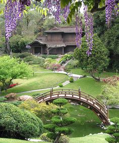 a bridge over a pond in a lush green park