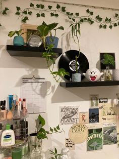 two black shelves with plants and records on them