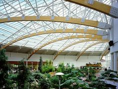 the inside of a building with lots of plants and trees in it's center