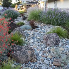 rocks and plants in front of a house