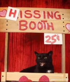 a black cat sitting in front of a wooden booth sign that says kissing booth 25