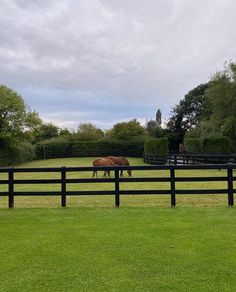 two horses grazing on grass behind a black fence in the middle of an open field