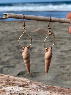 Natural handpicked shells set in gold plated wire with beads. Gold Shell Dangle Earrings, Gold Shell With Matching Earrings, Handmade Gold Hoop Earrings For Beach, Shell-shaped Gold Shell Earrings, Gold Shell-shaped Shell Earrings, Gold Shell-shaped Earrings, Gold Shell-shaped Hoop Earrings For Beach, Handmade Gold Dangle Shell, Gold Dangle Shell Earrings For Beach