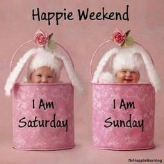 two baby bunnies in pink buckets with words on them saying happy weekend i am saturday and i am sunday