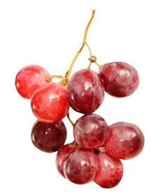 some red grapes hanging from a branch on a white background with water droplets all over them