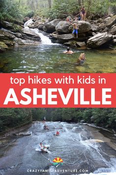 In search of fantastic family-friendly hiking experiences in Asheville, North Carolina? Your search ends here, as an array of remarkable hiking trails suitable for all ages awaits! Among the notable options are the Craggy Pinnacle Hike and the Craggy Garden Trail, to name just a couple. Our comprehensive guide provides insights into these trails, with vital details such as distance, notable attractions along the paths, and more. Add Asheville to your trip planner for your next outdoor adventure. Asheville Hikes, Craggy Gardens, Cliff Jumping, Trip Planner, Asheville North Carolina, Family Travel Destinations