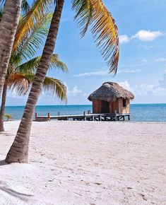 a hut on the beach with palm trees