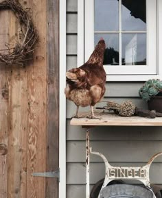 a brown chicken standing on top of a wooden table next to a white door and window