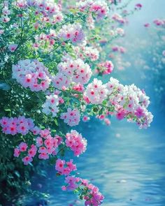 pink and white flowers are growing on the side of a body of water with blue sky in the background