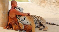 a man is hugging a tiger on the ground