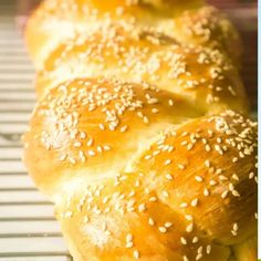 sesame seed rolls on a cooling rack ready to be baked